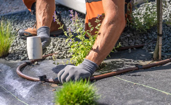 Sprinkler System Repairs